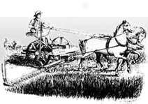 Crops and Dairy Cattle
