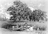 Poestenkill Creek and Meadow