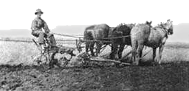 Developing Michigan Farmland - 1840's